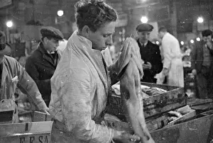 Inspecting Prints: Checking The Cod