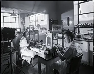 Chemical Prints: Chemical Lab with People Working