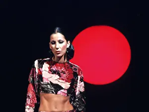 Cher Performing