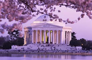 Thomas Jefferson Memorial Gallery: Cherry Blossoms by Jefferson Memorial
