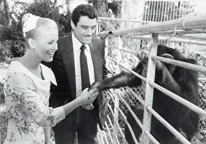Cheryl Ladd Greeting Chimpanzee in Grace Kelly