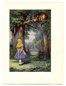 Images Dated 13th November 2018: Cheshire Cat on tree illustration, (Alices Adventures in Wonderland)