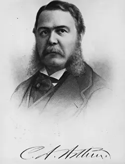 Portrait Male Facial Prints: Chester Arthur
