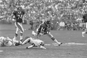 Fine Prints: Chicago Bear Jumping Over Redskin