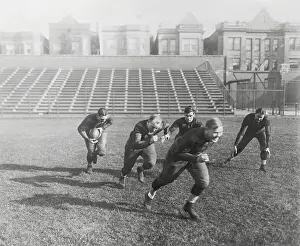 Chicago Bears Football Team