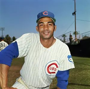 Mesa Prints: Chicago Cubs Billy Williams During Training