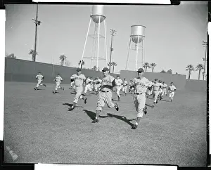 Mesa Prints: Chicago Cubs Running