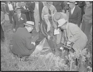 John M Prints: Chicago Horrified by Triple Murder of Local Boys 1955