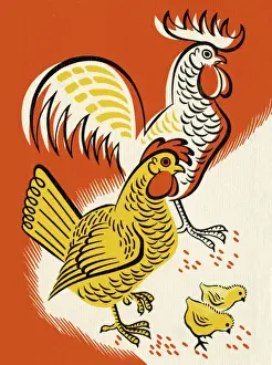 Illustration And Pain Prints: Chicken