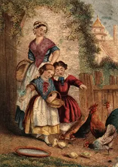 Chicken Feed