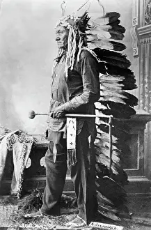 Native Am Prints: Chief Sitting Bull