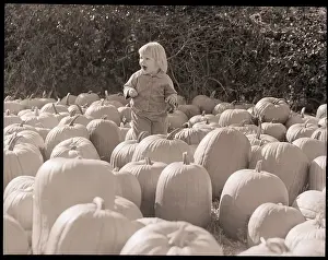 Halloween Prints: Child In A Pumpkin Farm