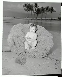 Sponge Prints: Child Reclining in Large Sponge Found in Florida Waters