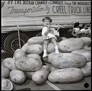 Watermelon Prints: Child Sitting On Top Of Watermelon Pile