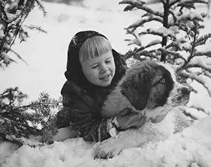 Embracing Prints: Child And St Bernard