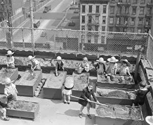 Gardener Prints: Children Gardening on Building Rooftop
