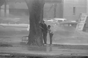 Children Hiding Behind Tree During Protest
