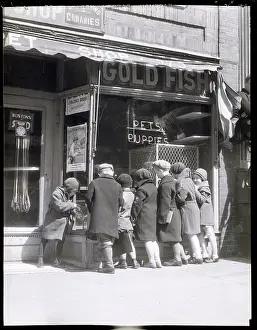 Supply Prints: Children Looking into a Pet Shop Window