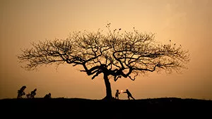 Images Dated 21st February 2016: Children playing under lonely tree
