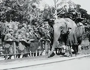 Melbourne Prints: Children Riding on an Elephant