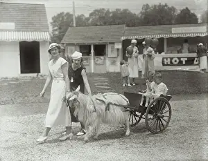 Devon Prints: Children Riding in Goat Cart