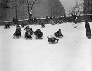 Sled Prints: Children Sledding in Central Park