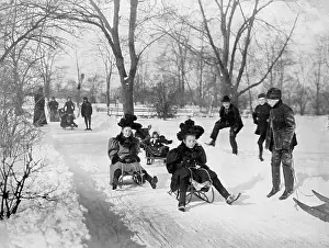 Pre Teen Girl Prints: Children Sledding in Central Park