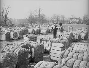 Children Stand on and Around Bales of Cotton