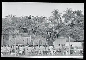 Lagos Prints: Children Standing in Tree