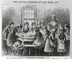 Children Working as Tobacco Strippers in Factory