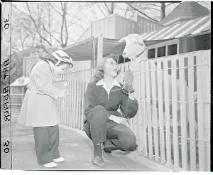Children's Zoon, Bronx Park
