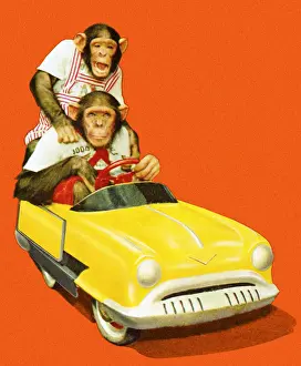 Illustra Prints: Two Chimpanzees Driving a Toy Car