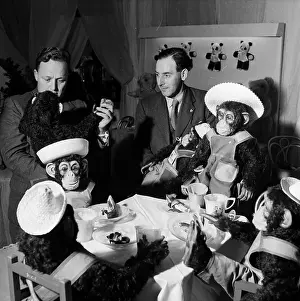 Entertaining And Hospitality Prints: Chimps Tea Party