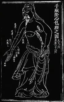 Chinese Anatomy Drawing