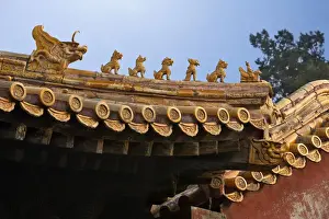 Awning Prints: Chinese architectural elements from the eves of a official building
