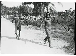 Chinese Carrying Fish to Market