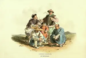 Entertainment Prints: Chinese Gamblers