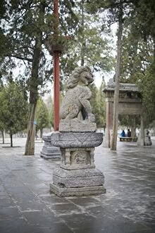 Images Dated 18th March 2015: Chinese guardian lion at Shaolin Temple