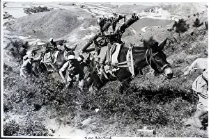 Pack Prints: Chinese Soldiers Walking W/Pack Mules