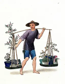 A Chinese Street Vendor Selling Plants and Flowers, c. 1810, China, Historic, digitally restored reproduction from a 19th century original