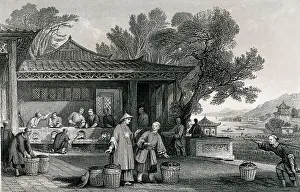 Ethnic Prints: A Chinese Tea Plantation with Workers Carrying and Roasting the Tea