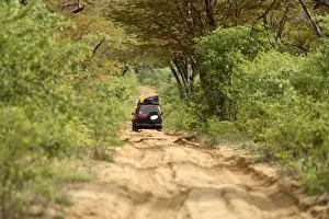 Chobe National Park, National Park, Color Image, Day, Dirt Road, Focus On Background