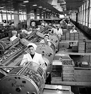 Industrial Prints: Chocolate Factory