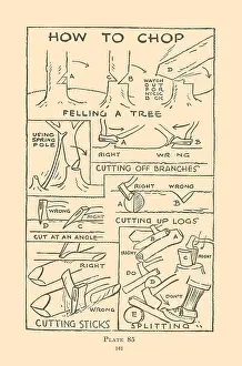 Chop Prints: How to Chop