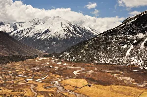 Images Dated 18th April 2012: Chopta Valley