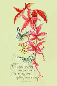 Berry Prints: Christmas Card with Butterflies and Scarlet Elder