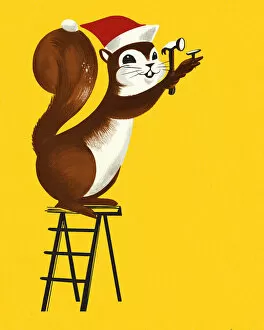 Images Dated 2nd September 2014: Christmas Squirrel on a Ladder