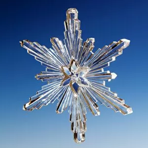 Images Dated 3rd December 2012: Christmas star as an ice crystal
