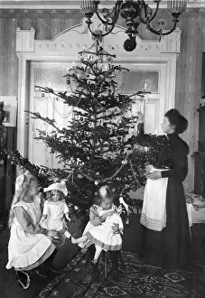 Christmas Tree