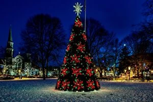 Images Dated 11th December 2015: Christmas tree in town square at night